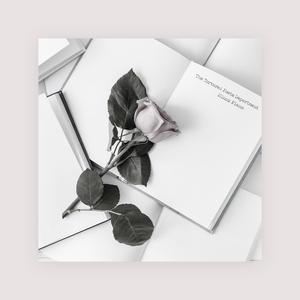 小变态来喽账号查询网站
