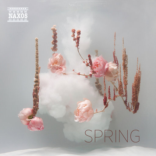 小变态来喽账号查询网站
